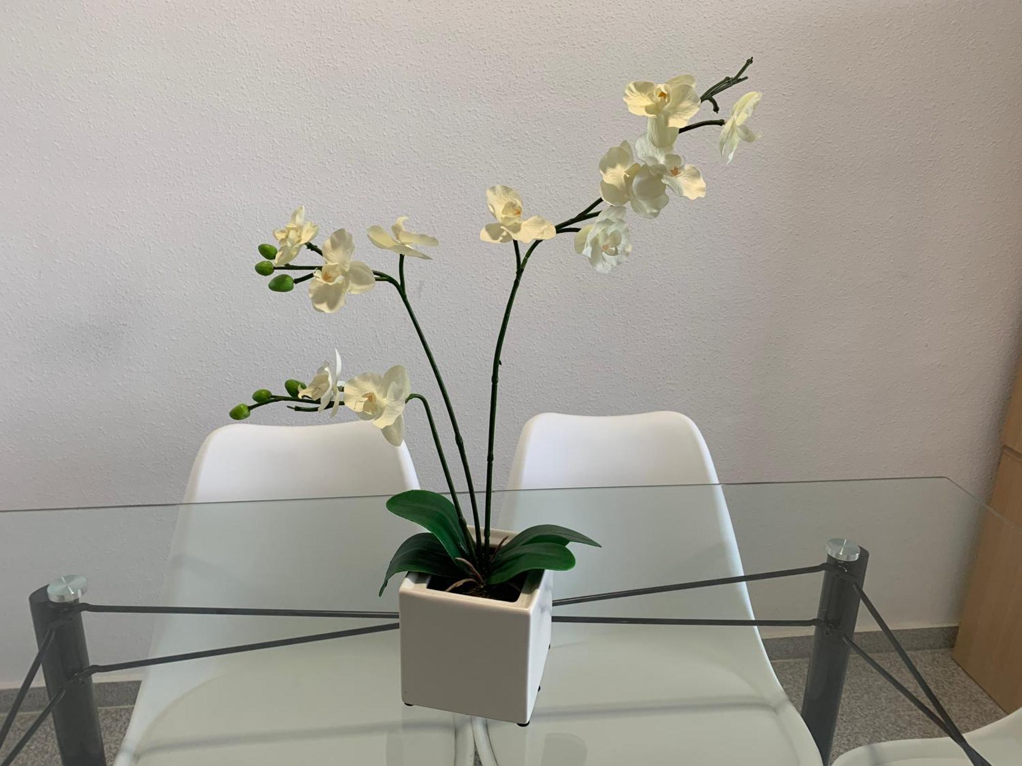 Cabo Mar Apartment เอลกัมเปโญ ภายนอก รูปภาพ